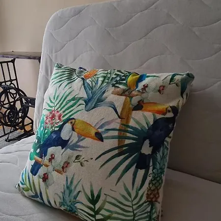 Ogrod דירה זאבקי